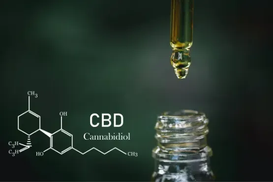 can-you-advertise-cbd-on-google-ads-here-s-what-you-need-to-know