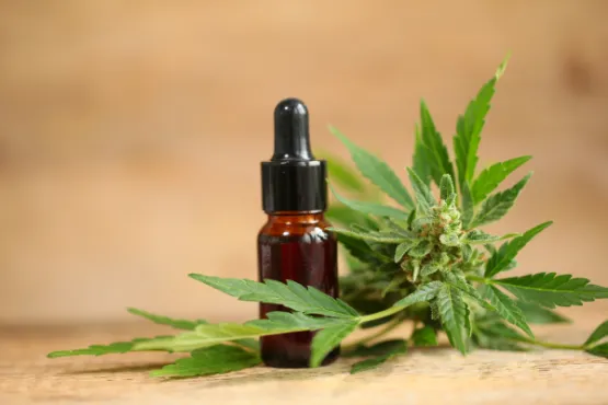 how-to-choose-the-best-cbd-keywords-for-your-seo-strategy