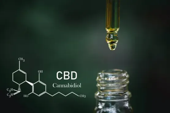 how-to-launch-a-successful-cbd-email-marketing-campaign