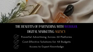 marketing strategy for cosmetic product